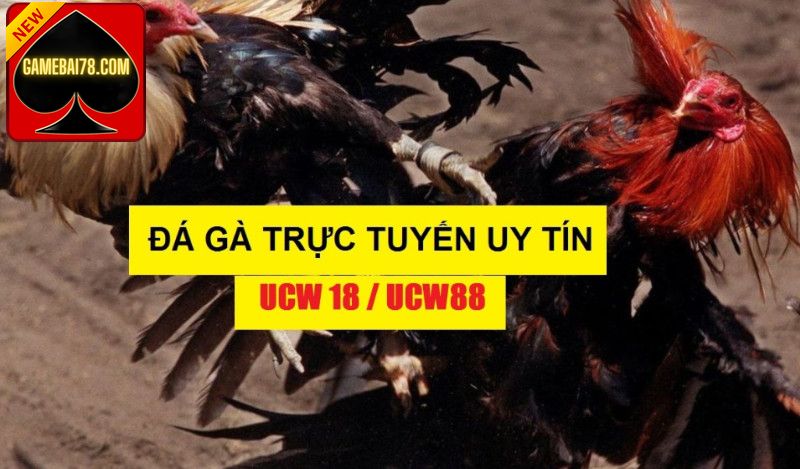 Giới Thiệu Người Chơi Những Thông Tin Mới Lạ Về Nhà Cái Ucw88