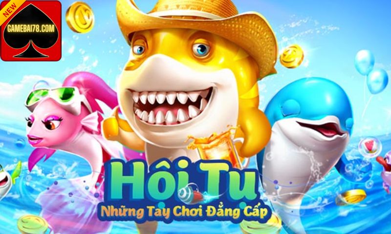 Tổng quan Bancah5 Apk