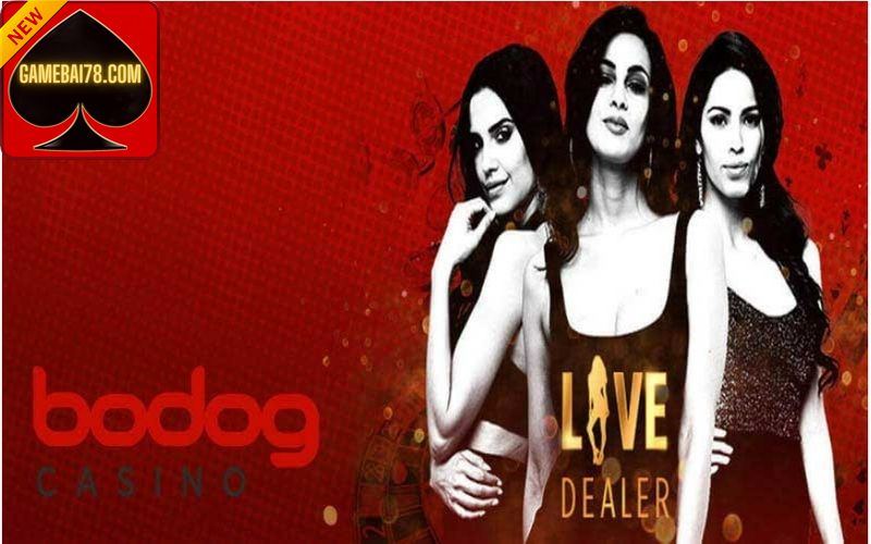 Bodog Có Những Ưu Điểm Gì Nổi Bật?