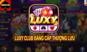 Sơ lược về Luxy Club