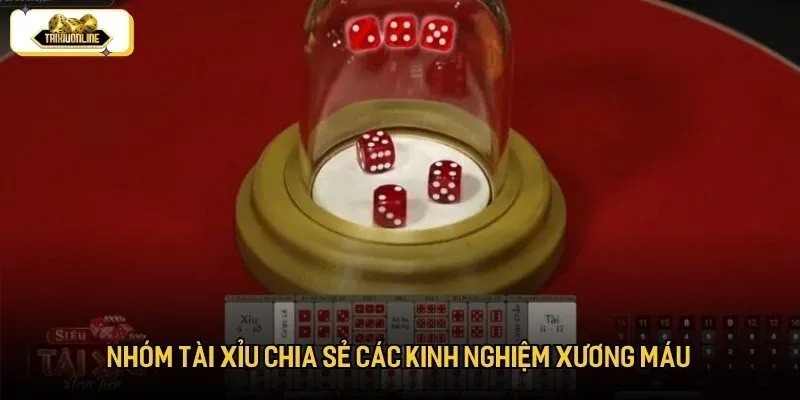Nhóm tài xỉu chia sẻ các kinh nghiệm xương máu Nhóm tài xỉu chia sẻ các kinh nghiệm xương máu