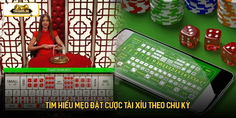Tìm hiểu mẹo đặt cược tài xỉu theo chu kỳ Tìm hiểu mẹo đặt cược tài xỉu theo chu kỳ